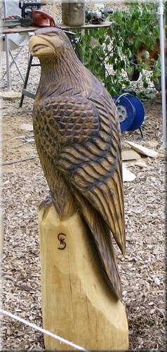s_adler11.jpg