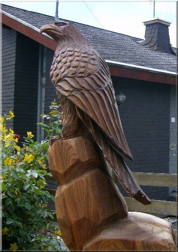 s_adler12.jpg