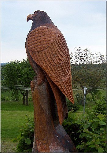 s_adler4.jpg