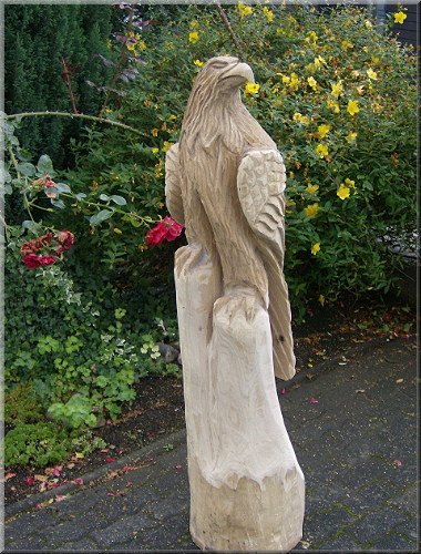 s_adler6.jpg