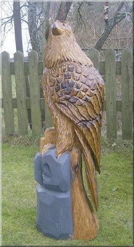s_adler7.jpg