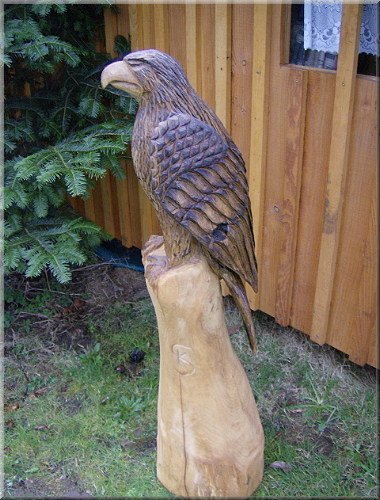 s_adler8.jpg