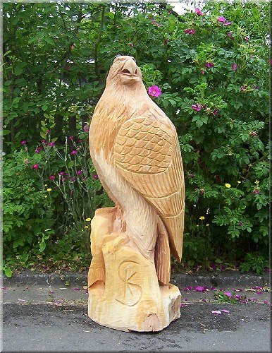 s_adler9.jpg