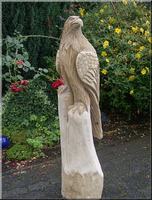s_adler10.jpg