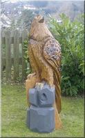 s_adler14.jpg
