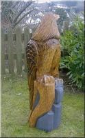 s_adler15.jpg