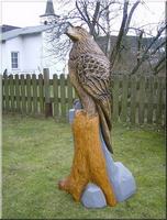 s_adler2.jpg