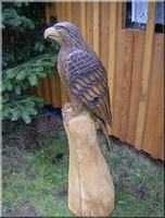 s_adler8.jpg