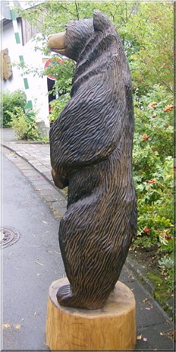 s_baer05.jpg