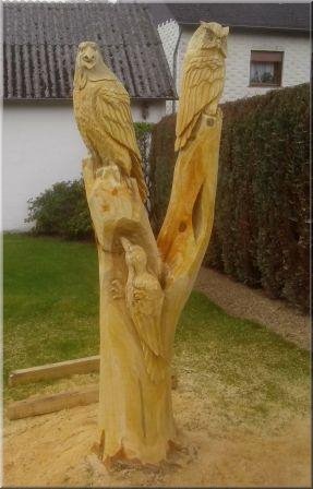 Adler, Eule und Specht