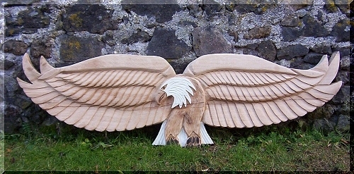 w_adler1.jpg