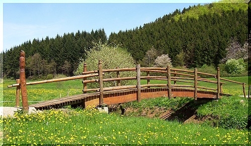 w_bruecke1.jpg