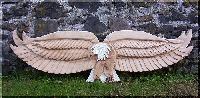 w_adler1.jpg