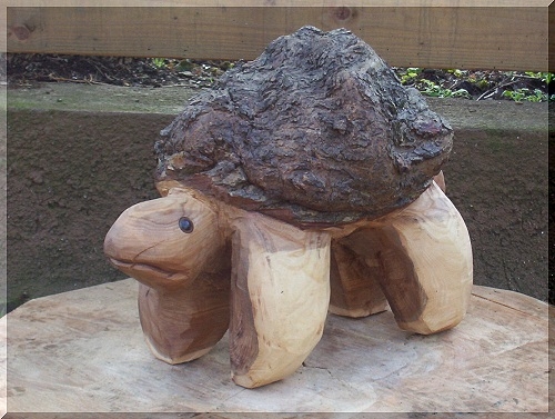 w_schildkroete1.jpg