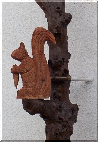 s_eichhoernchen1.jpg