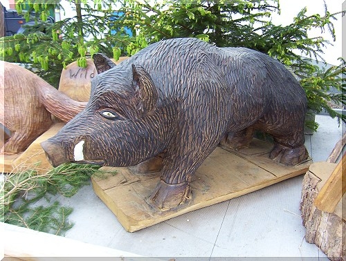 w_wildschwein.jpg