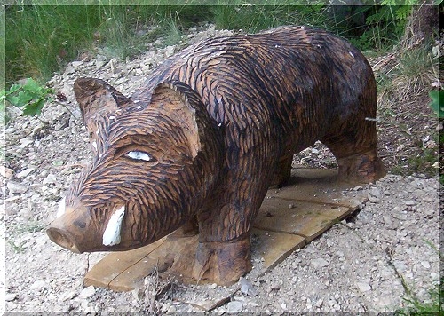 w_wildschwein2.jpg