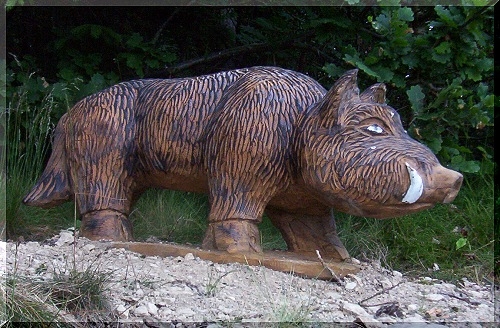 w_wildschwein3.jpg