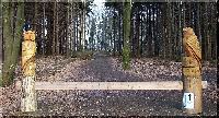 w_waldschranke1.jpg