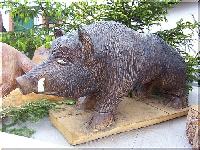 w_wildschwein1.jpg