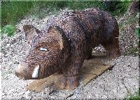 w_wildschwein2.jpg