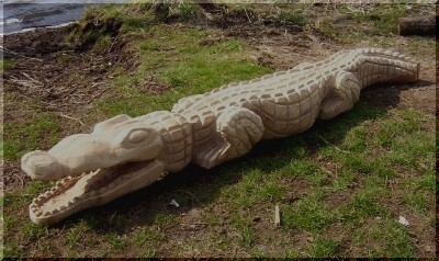 w_krokodil3.jpg