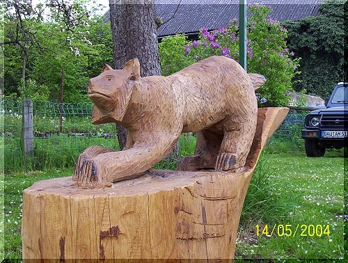 w_luchs3.jpg