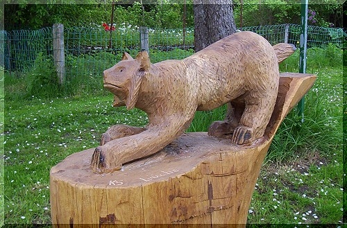 w_luchs4.jpg