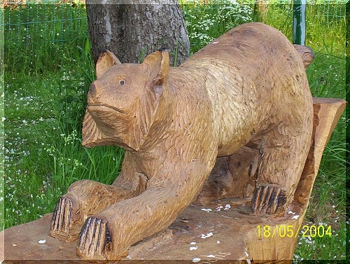 w_luchs5.jpg
