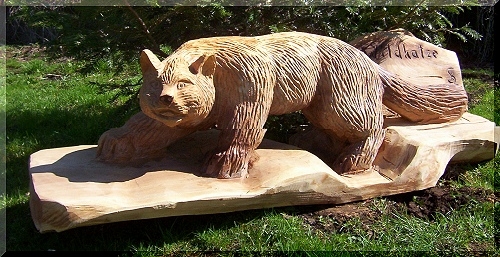 w_wildkatze3.jpg