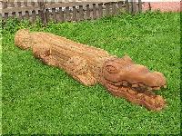 w_krokodil1.jpg