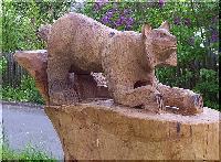 w_luchs1.jpg