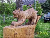 w_luchs3.jpg