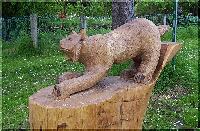 w_luchs4.jpg