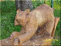 w_luchs5.jpg