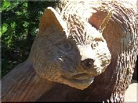 w_wildkatze5.jpg
